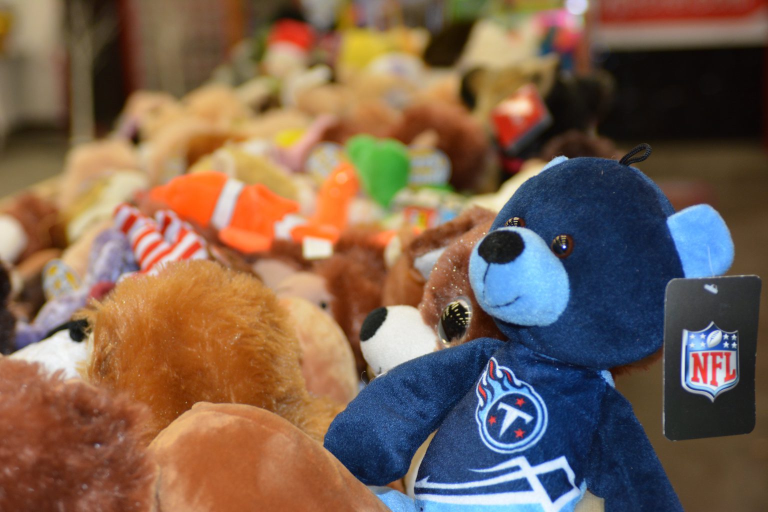 Last Minute Toy Store Davidson County Sheriff Nashville Tennessee